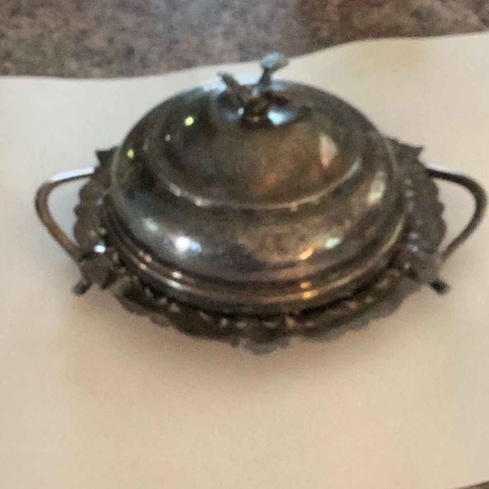 Elegant Silver Plated Serving Dish